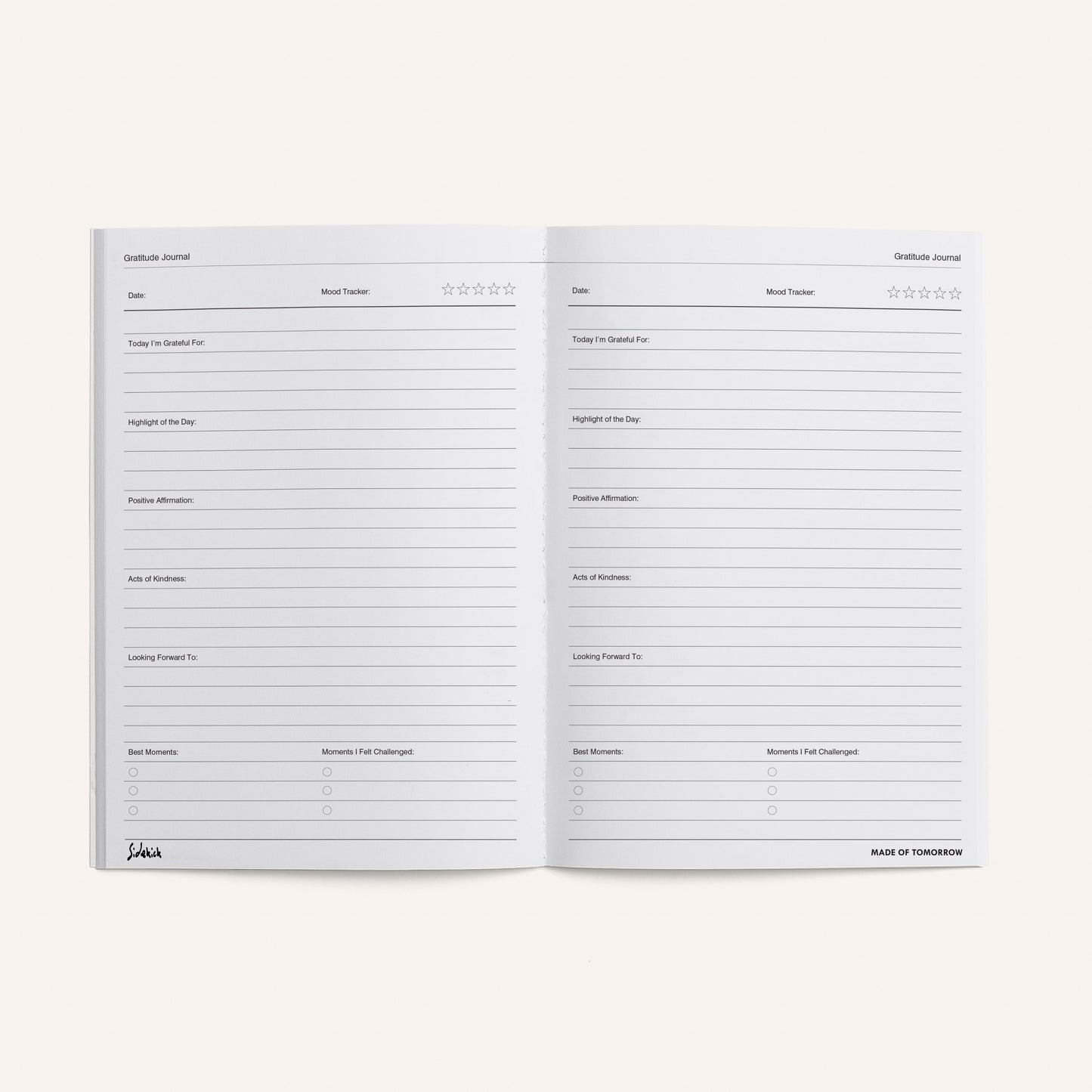 Gratitude Journal